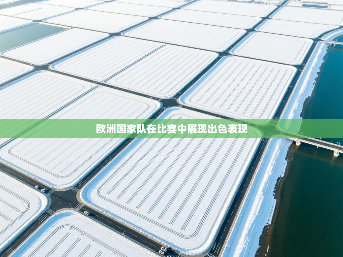 欧洲国家队在比赛中展现出色表现  第1张