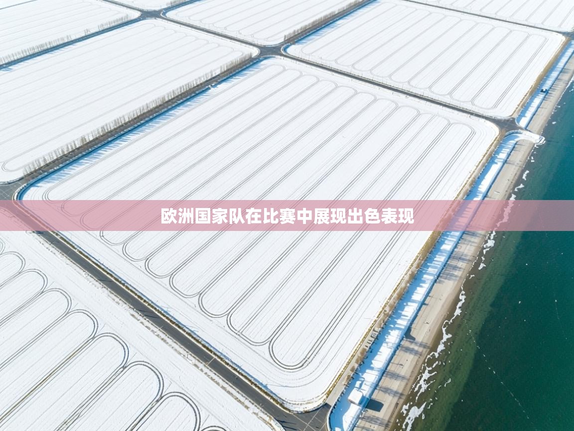 欧洲国家队在比赛中展现出色表现  第2张