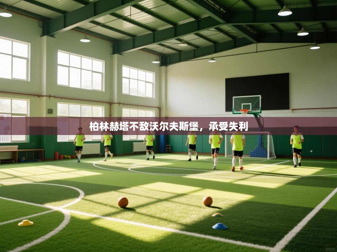 柏林赫塔不敌沃尔夫斯堡，承受失利  第1张