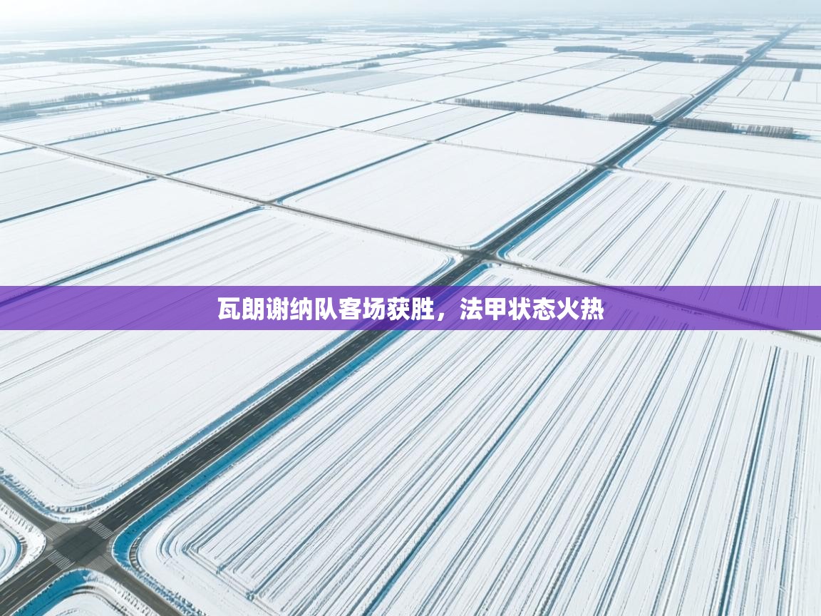 瓦朗谢纳队客场获胜，法甲状态火热  第1张